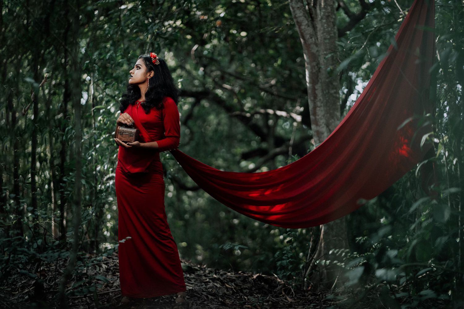 Sarees Collection