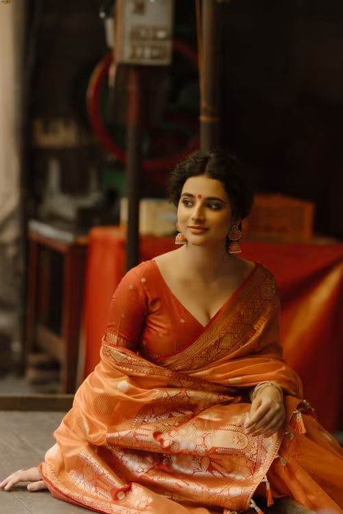 Banarasi Silk Saree